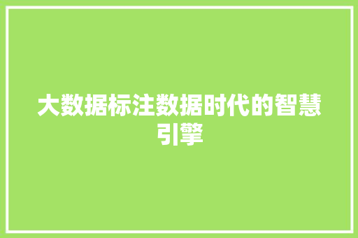 大数据标注数据时代的智慧引擎  第1张