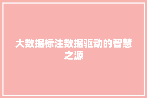 大数据标注数据驱动的智慧之源  第1张