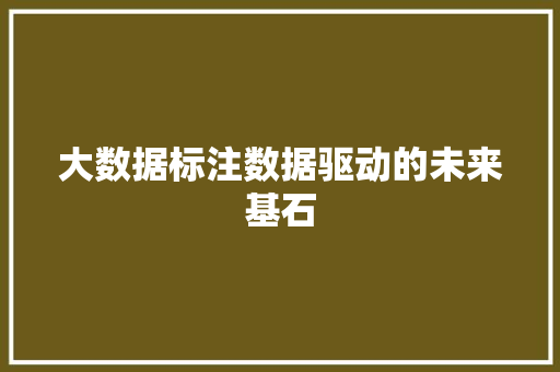 大数据标注数据驱动的未来基石  第1张