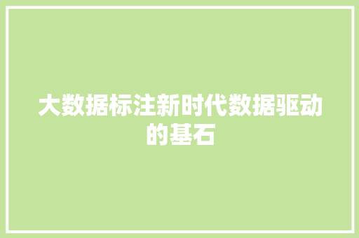 大数据标注新时代数据驱动的基石  第1张