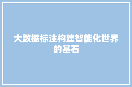 大数据标注构建智能化世界的基石  第1张