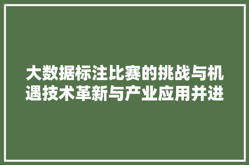 大数据标注比赛的挑战与机遇技术革新与产业应用并进  第1张