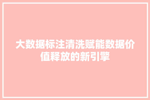 大数据标注清洗赋能数据价值释放的新引擎  第1张