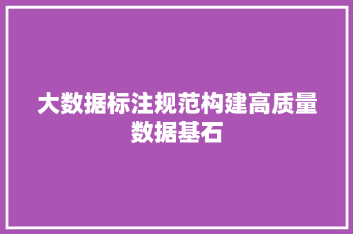 大数据标注规范构建高质量数据基石  第1张