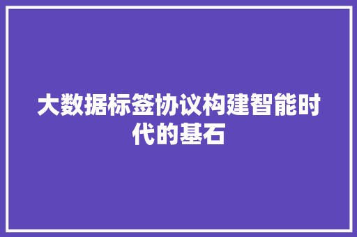大数据标签协议构建智能时代的基石  第1张