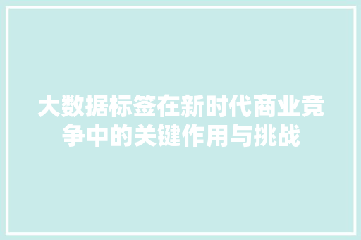 大数据标签在新时代商业竞争中的关键作用与挑战  第1张