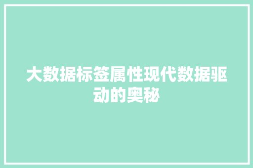 大数据标签属性现代数据驱动的奥秘