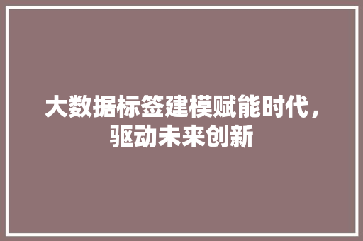 大数据标签建模赋能时代，驱动未来创新  第1张