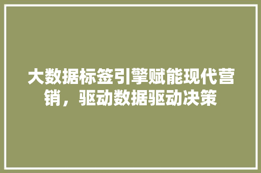 大数据标签引擎赋能现代营销，驱动数据驱动决策  第1张
