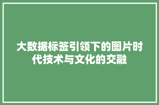 大数据标签引领下的图片时代技术与文化的交融  第1张