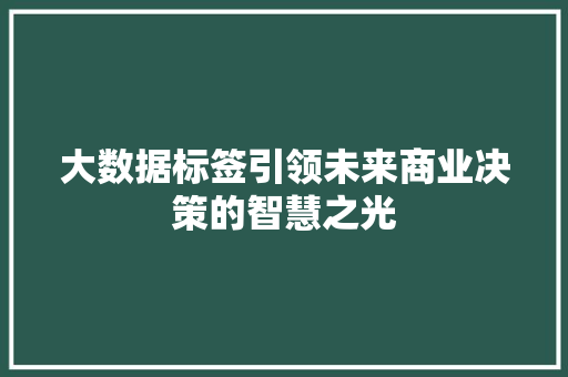 大数据标签引领未来商业决策的智慧之光  第1张