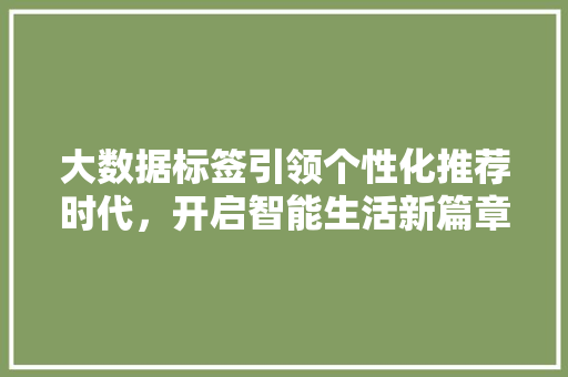 大数据标签引领个性化推荐时代，开启智能生活新篇章  第1张
