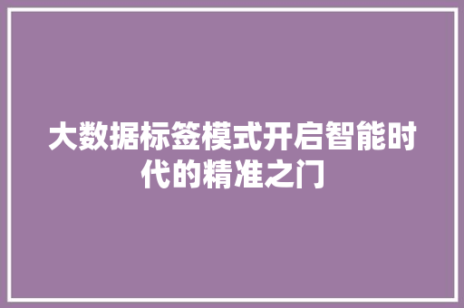 大数据标签模式开启智能时代的精准之门  第1张
