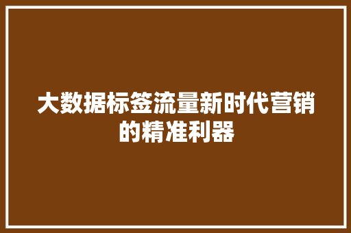 大数据标签流量新时代营销的精准利器
