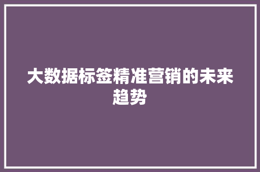大数据标签精准营销的未来趋势