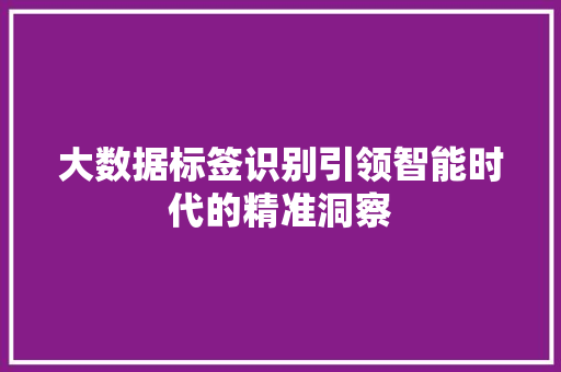 大数据标签识别引领智能时代的精准洞察  第1张