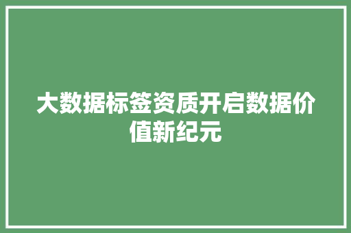 大数据标签资质开启数据价值新纪元