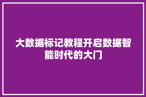大数据标记教程开启数据智能时代的大门