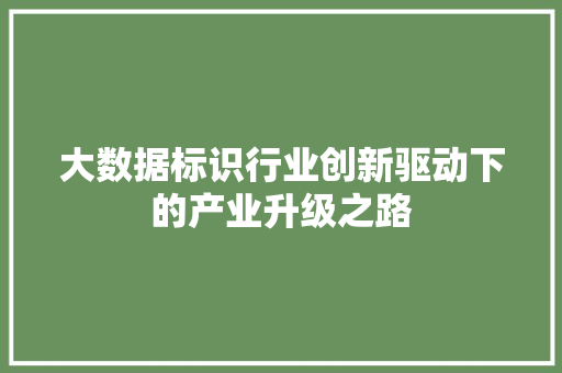 大数据标识行业创新驱动下的产业升级之路