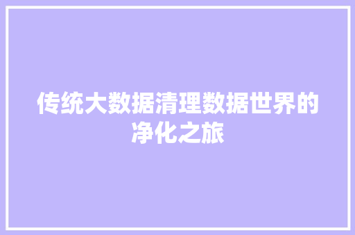 传统大数据清理数据世界的净化之旅