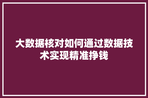 大数据核对如何通过数据技术实现精准挣钱