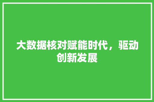 大数据核对赋能时代，驱动创新发展