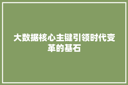 大数据核心主键引领时代变革的基石