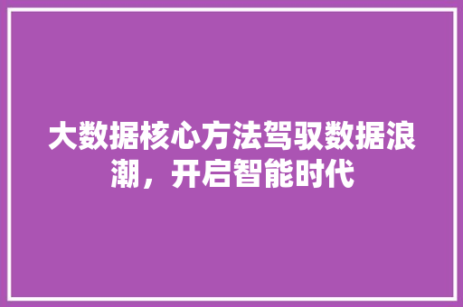 大数据核心方法驾驭数据浪潮，开启智能时代