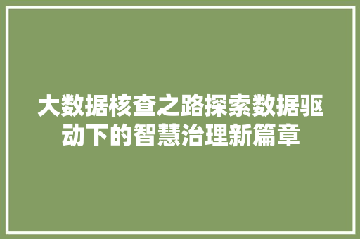 大数据核查之路探索数据驱动下的智慧治理新篇章  第1张