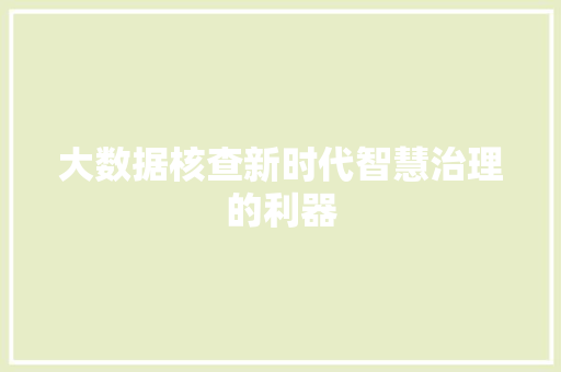 大数据核查新时代智慧治理的利器  第1张