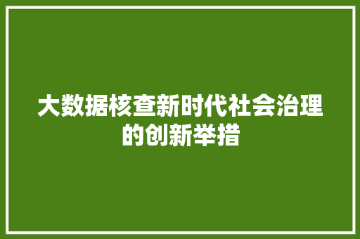 大数据核查新时代社会治理的创新举措