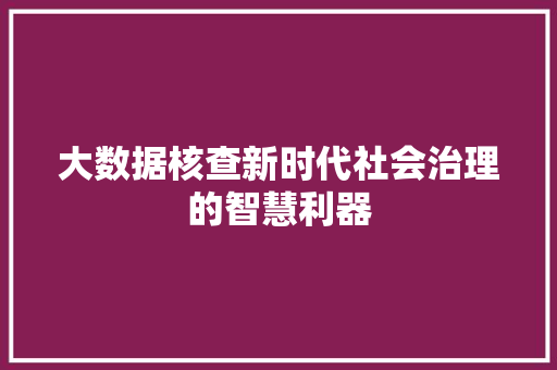 大数据核查新时代社会治理的智慧利器  第1张