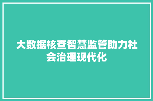 大数据核查智慧监管助力社会治理现代化  第1张