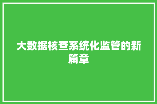 大数据核查系统化监管的新篇章  第1张