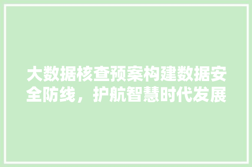 大数据核查预案构建数据安全防线，护航智慧时代发展  第1张