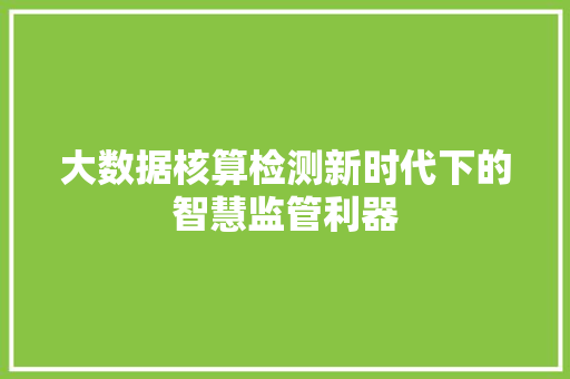 大数据核算检测新时代下的智慧监管利器