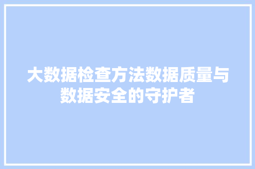 大数据检查方法数据质量与数据安全的守护者