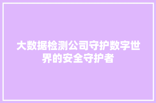 大数据检测公司守护数字世界的安全守护者  第1张