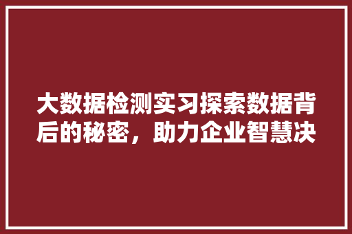 大数据检测实习探索数据背后的秘密，助力企业智慧决策