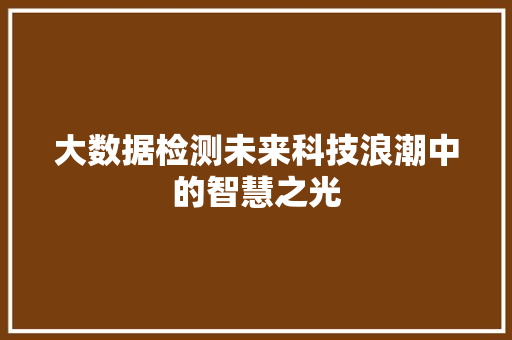 大数据检测未来科技浪潮中的智慧之光  第1张