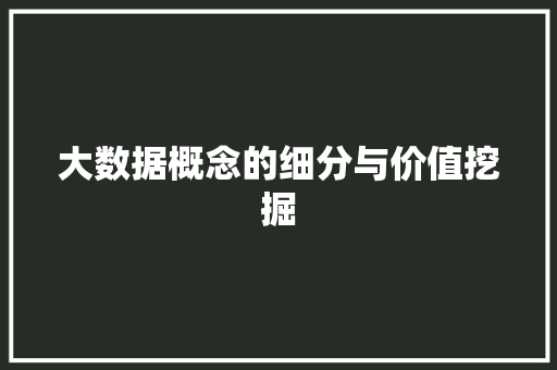 大数据概念的细分与价值挖掘