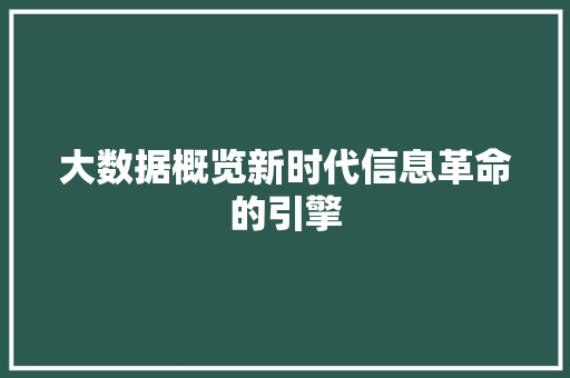 大数据概览新时代信息革命的引擎  第1张