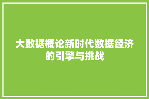 大数据概论新时代数据经济的引擎与挑战  第1张
