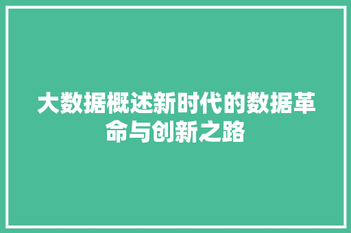 大数据概述新时代的数据革命与创新之路  第1张