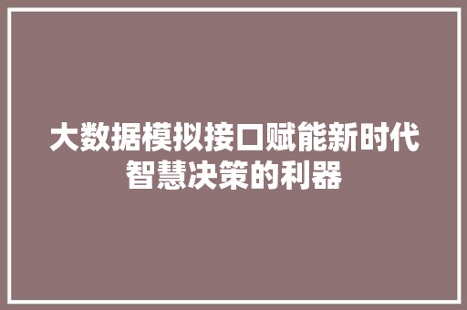 大数据模拟接口赋能新时代智慧决策的利器