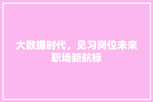 大数据时代，见习岗位未来职场新航标  第1张