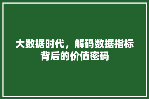 大数据时代，解码数据指标背后的价值密码  第1张