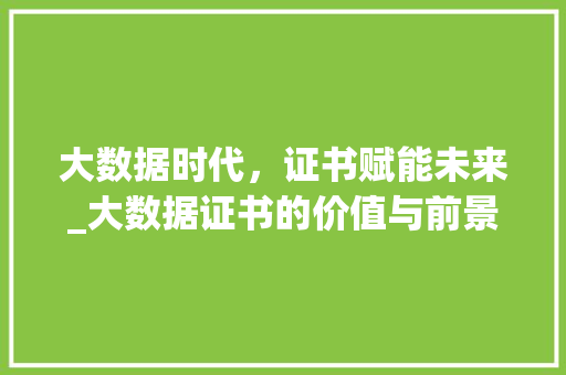 大数据时代，证书赋能未来_大数据证书的价值与前景  第1张