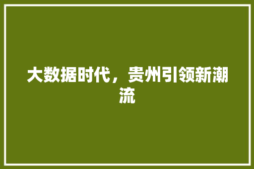 大数据时代，贵州引领新潮流  第1张