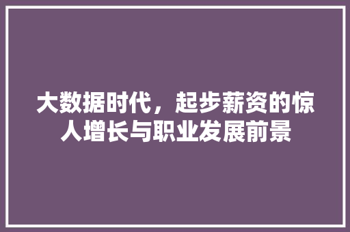 大数据时代，起步薪资的惊人增长与职业发展前景  第1张